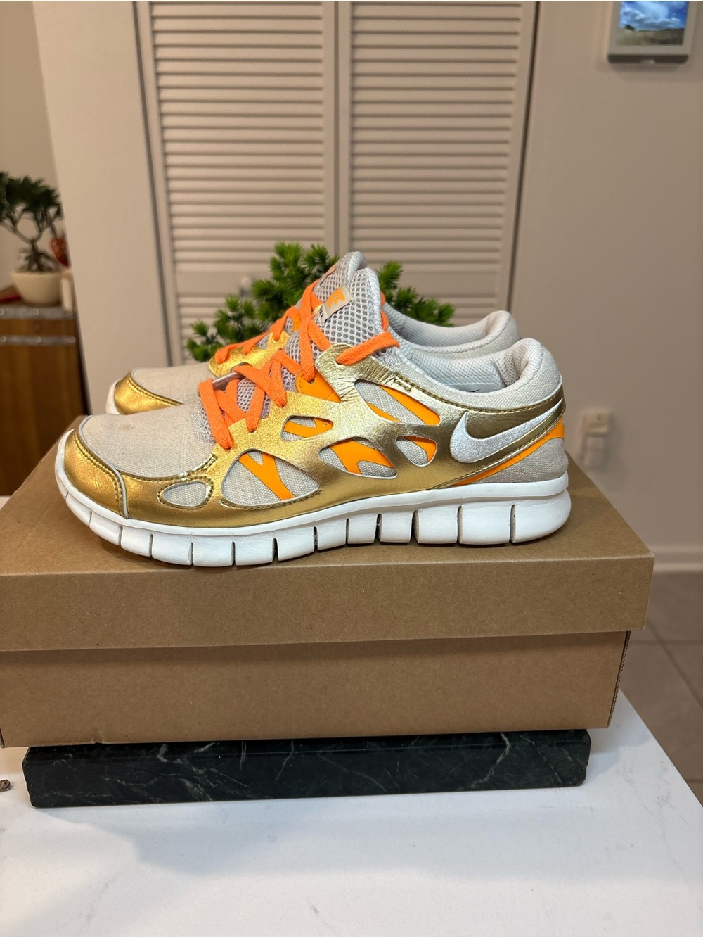 Nike Free Run 2 Gold Chrome Rare Running Shoes , Women’s size 8.5